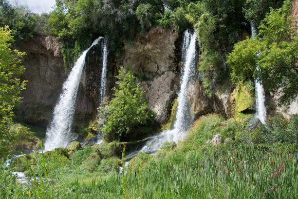 A lush landscape surrounding waterfalls in Colorado