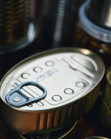 Canned Fish - Sardines and Blue Mussels in a Tin