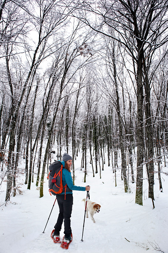 A woman with snow shoes hiking in the woods in the Giumentina Valley (Valle Giumentina), on the Majella mountains in Abruzzo, Italy.
