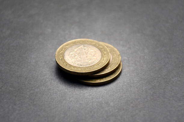 Heap of one Turkish lira coins
