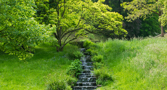 Waterfall in the summer park. Nature background. Falls with clean water in sunny day and much green trees around.