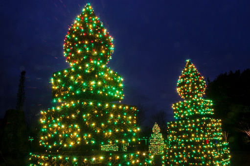 Christmas Tree, Christmas Lights, Ornaments Festive Background
