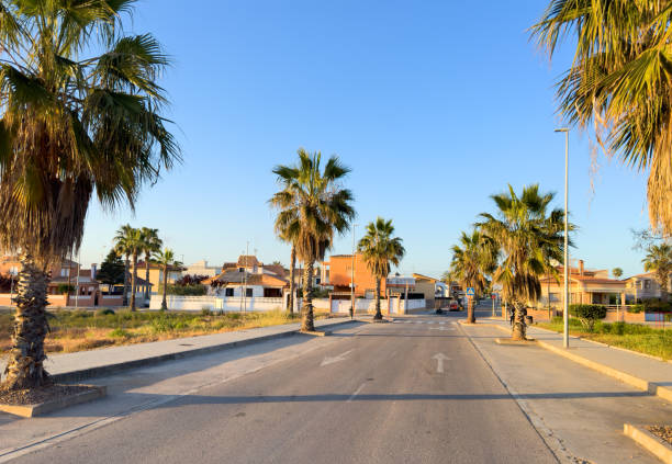 istock Road with palm trees on the side. 1745203140