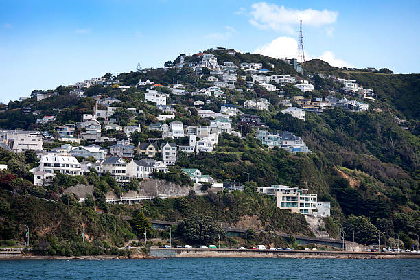 istock New Zealand -  Wellington 174525210