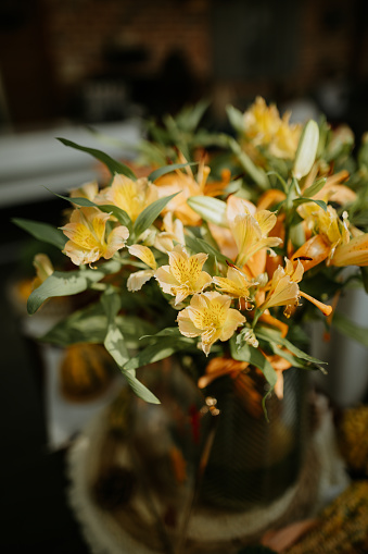 Beautiful autumnal yellow flower close up shot with nice bokeh background