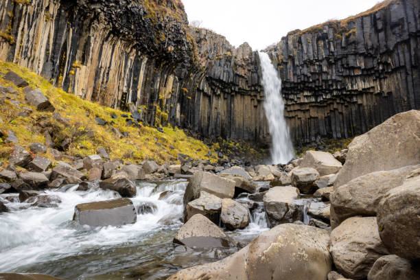 svartifoss - skaftafell national park stockfoto's en -beelden