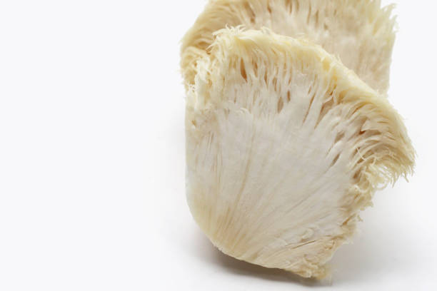 istock Fresh lion's mane mushroom on white background. (Yamabushitake Mushroom) 1745273387