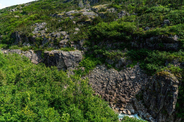 istock White Pass Summit excursion tour train in the mountains, Alaska, USA. 1745306197
