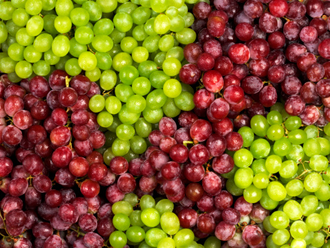 Bunchses of red and green grapes