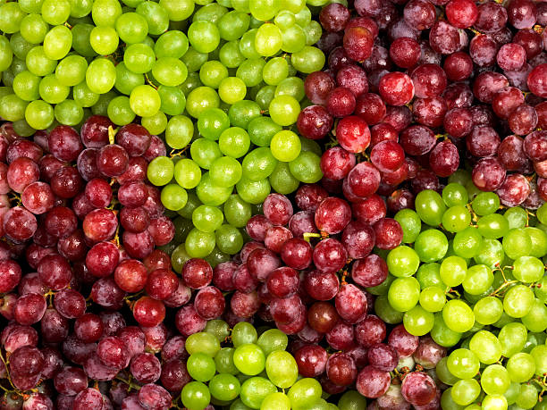 Grapes, stock photo