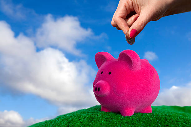 Womans Hand Puts Coin in Pink Piggy Bank stock photo