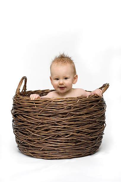 istock Baby in Basket 174531530
