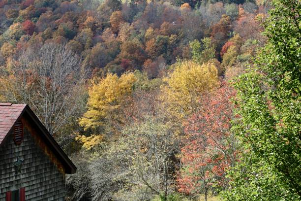 istock The Catskills in the Autumn 1745321536