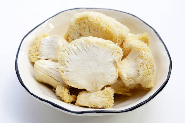 istock Fresh lion's mane mushroom on white background. (Yamabushitake Mushroom) 1745323707