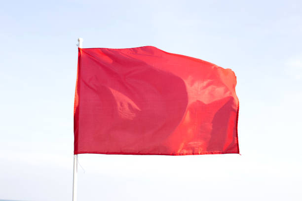 istock A red flag. Warning sign on the beach 1745330546