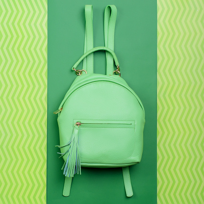 Fashionable female light green leather backpack featuring a top handle and a zippered pocket with a tassel pull displayed on a creative background with a zigzag pattern. Design for a fashion blog.