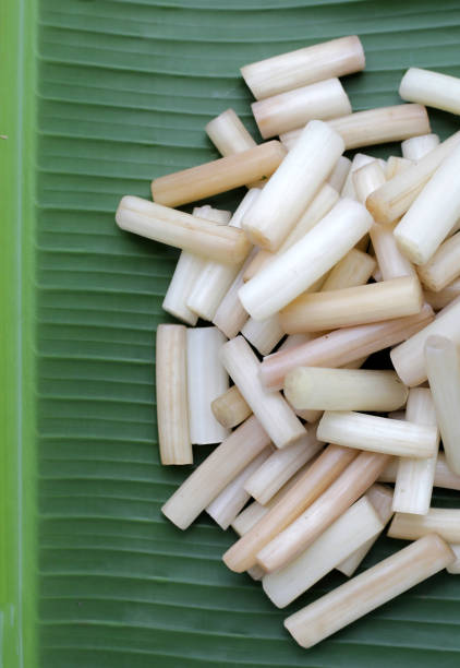 istock Fresh lotus rootlet on banana leaf 1745357771