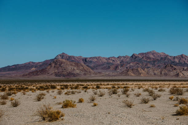 istock Death Valley roadtrip 1745369875