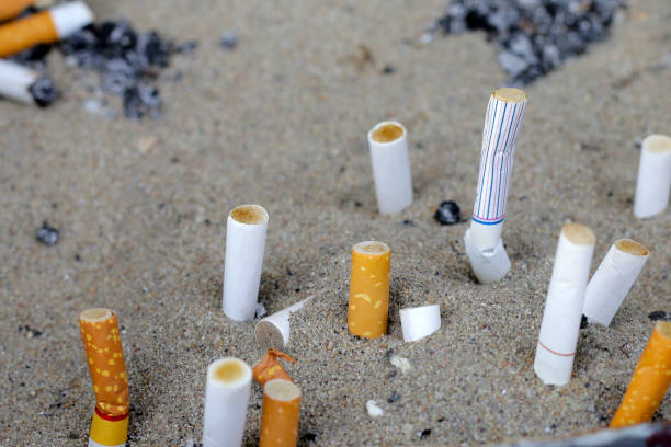 istock Cigarettes and ash on dirty sand in trash tray 1745385175
