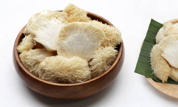 istock Fresh lion's mane mushroom on white background. (Yamabushitake Mushroom) 1745388482