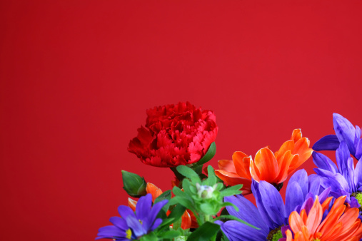 Red flower background.