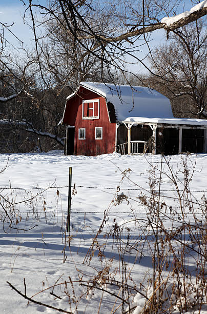 istock A barn with a dry trees in winter 174543853