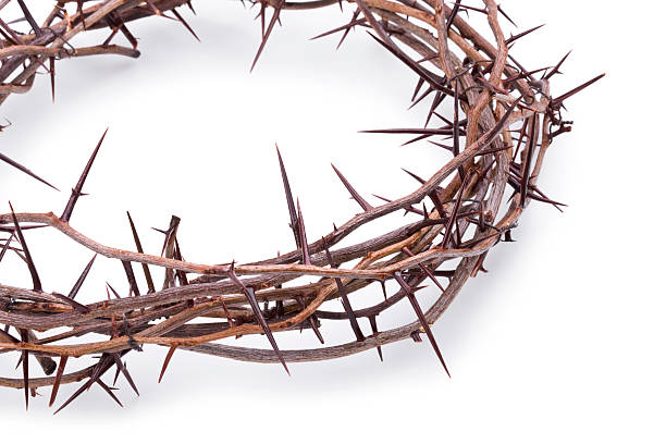 istock Crown of Thorns 174543891