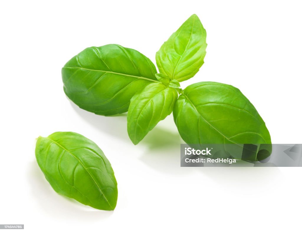 Basil Leafs "The file includes a excellent clipping path, so it's easy to work with these professionally retouched high quality image. Need some more Herbs" Basil Stock Photo