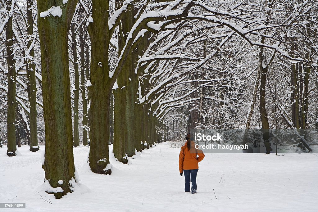 Park durante el invierno, - Foto de stock de Adulto libre de derechos