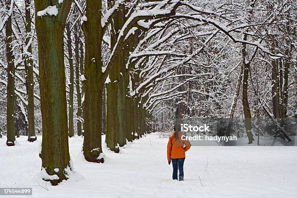 Photo libre de droit de Parc En Hiver banque d'images et plus d'images libres de droit de Adulte - Adulte, Arbre, Blanc