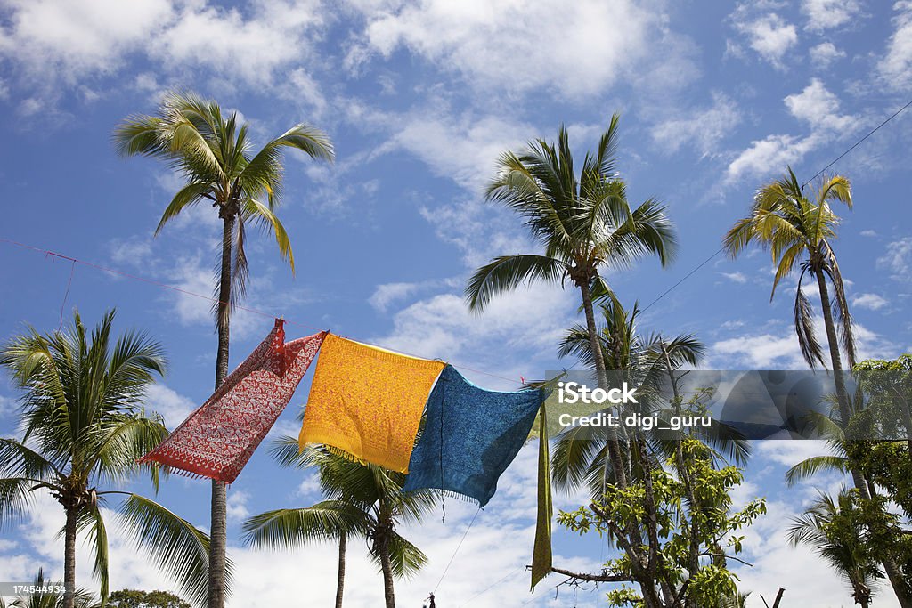 Telas en la brisa Tropical con palmeras - Foto de stock de América Central libre de derechos