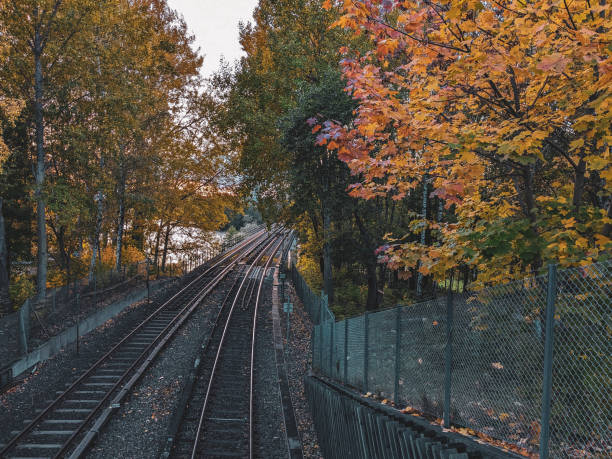 istock High angle view of railroad tracks amidst trees during autumn 1745451740