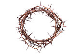 Crown of Thorns