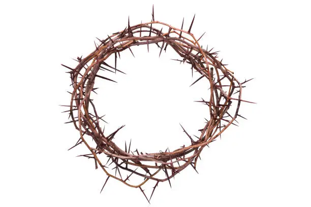 Photo of Crown of Thorns