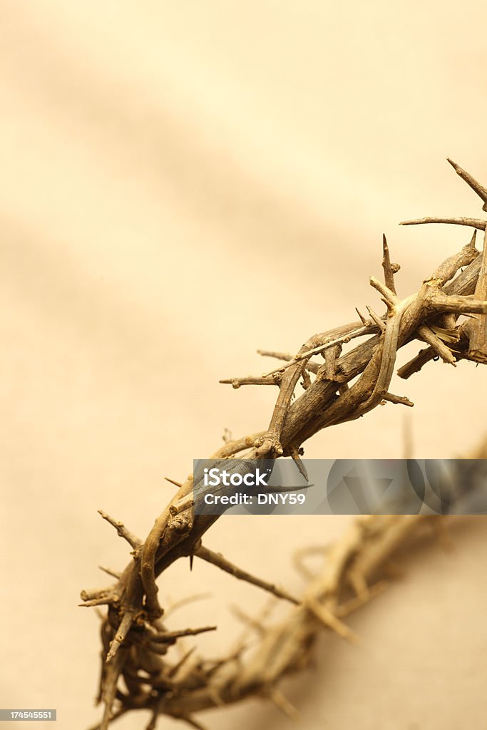 Couronne d'épines - Photo de Cercle libre de droits