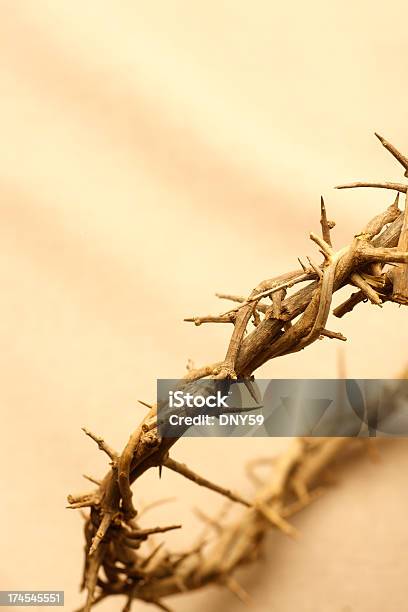 Corona Di Spine - Fotografie stock e altre immagini di Cerchio - Cerchio, Composizione verticale, Concetti