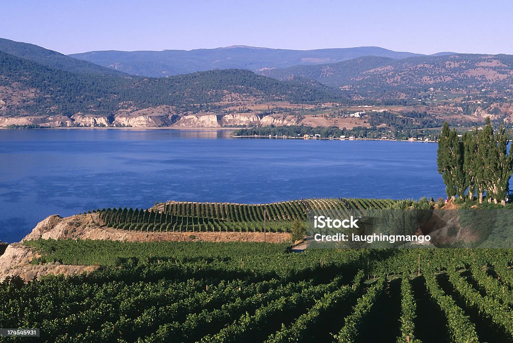 Bodega rural pintoresco lago - Foto de stock de Columbia Británica libre de derechos