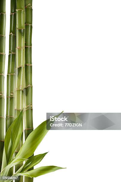 Palitos De Bambú Foto de stock y más banco de imágenes de Bambú - Familia de la Hierba - Bambú - Familia de la Hierba, Bambú - Material, Composición