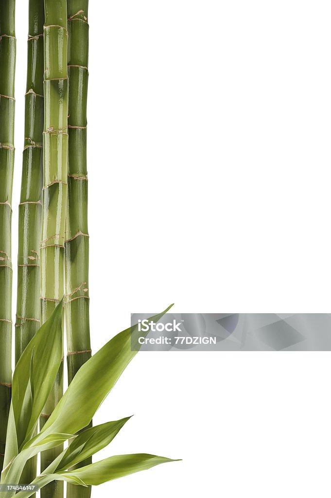 Бамбуковые палочки - Стоковые фото Бамбук роялти-фри