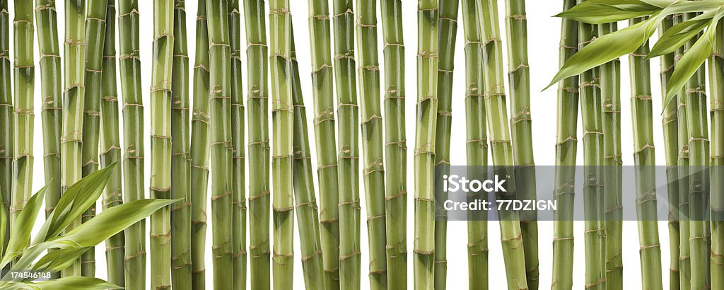 竹の背景 - ひらめきのロイヤリティフリーストックフォト