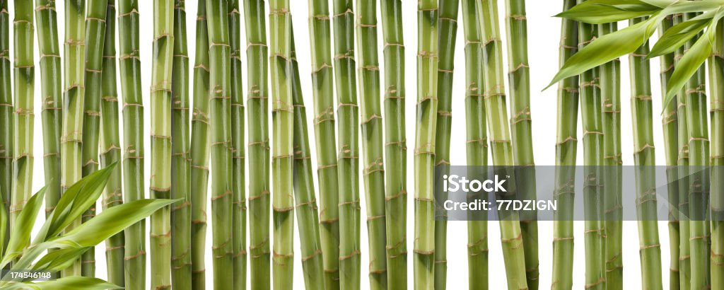 Fundo de bambu - Foto de stock de Bambu royalty-free