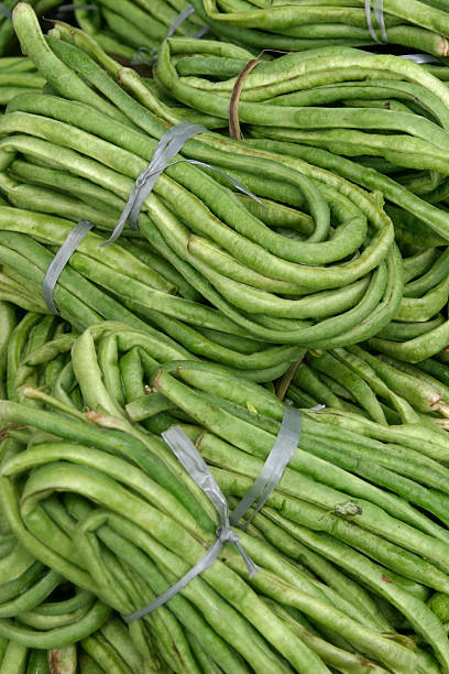 feijão de vagem - green bean bean pod nobody imagens e fotografias de stock