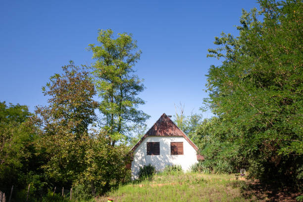 istock Selective blur on an old Residential house, a chalet building, called vikendica, closed and abandoned, in decay, overgrown by vegetation in the Balkans in Devojacki Bunar. 1745462341