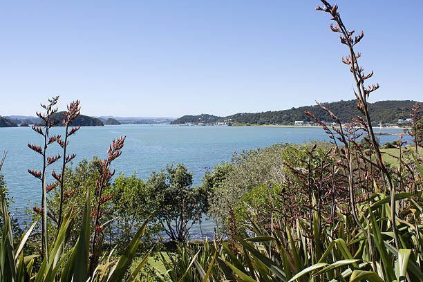 istock View across the Bay of Islands 174546487
