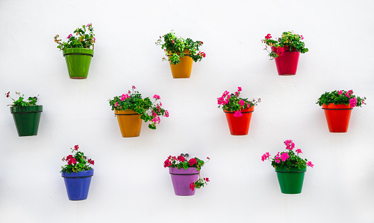 Many flower pots on a white wall, traditional Spanish city decoration