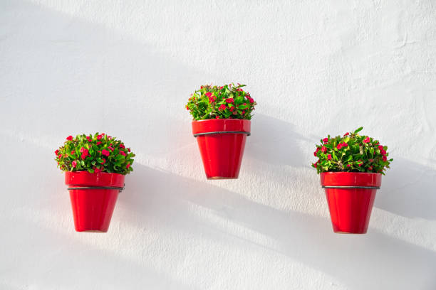 istock Tree red flower pots on a white wall, traditional Spanish city decoration 1745476198