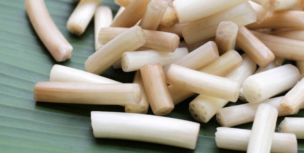 istock Fresh lotus rootlet on banana leaf 1745499061