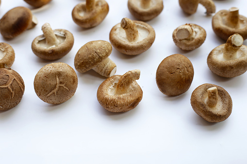 Shot of amazing, edible and tasty morel mushroom - Czech Republic, Europe