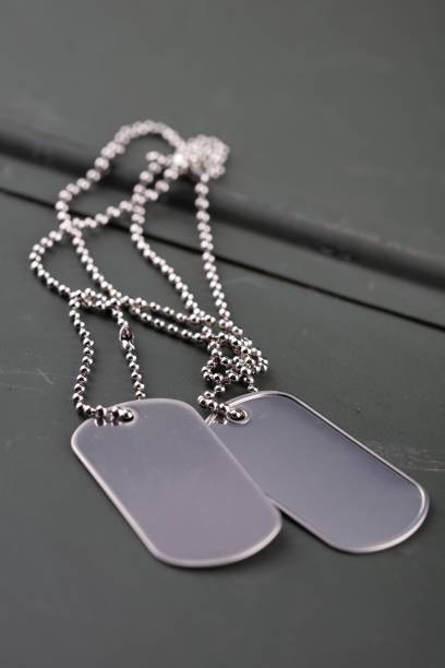 istock US army dog tags on green ammo can 1745530106