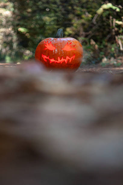 istock Smoking jack o' lantern in the forest 1745536439